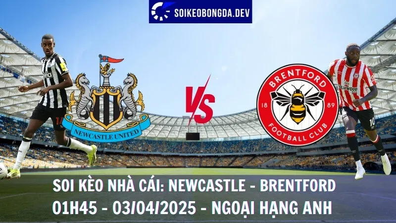 Tỷ lệ kèo hôm nay Newcastle vs Brentford - 03/04/2025 - Ngoại hạng Anh 7 Tỷ lệ kèo hôm nay Newcastle vs Brentford - 03/04/2025 - Ngoại hạng Anh