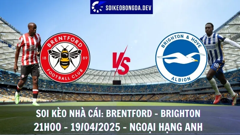 Soi kèo nhà cái Brentford vs Brighton - 19/04/2025 - Ngoại hạng Anh 2 Soi kèo nhà cái Brentford vs Brighton - 19/04/2025 - Ngoại hạng Anh